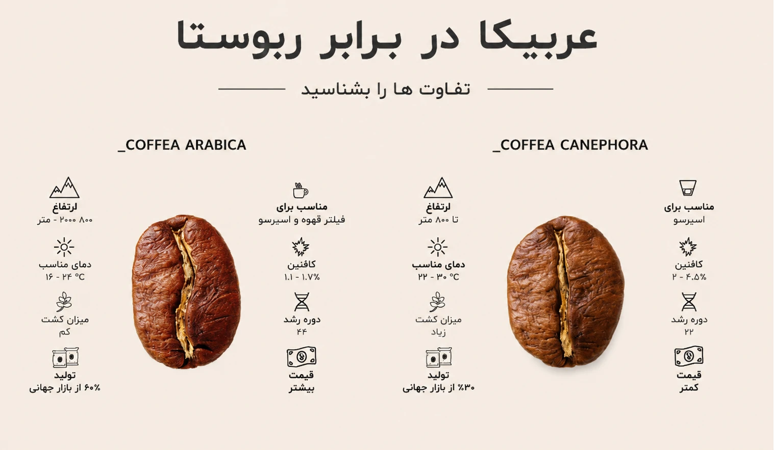 مقایسه قهوه ربوستا و عربیکا