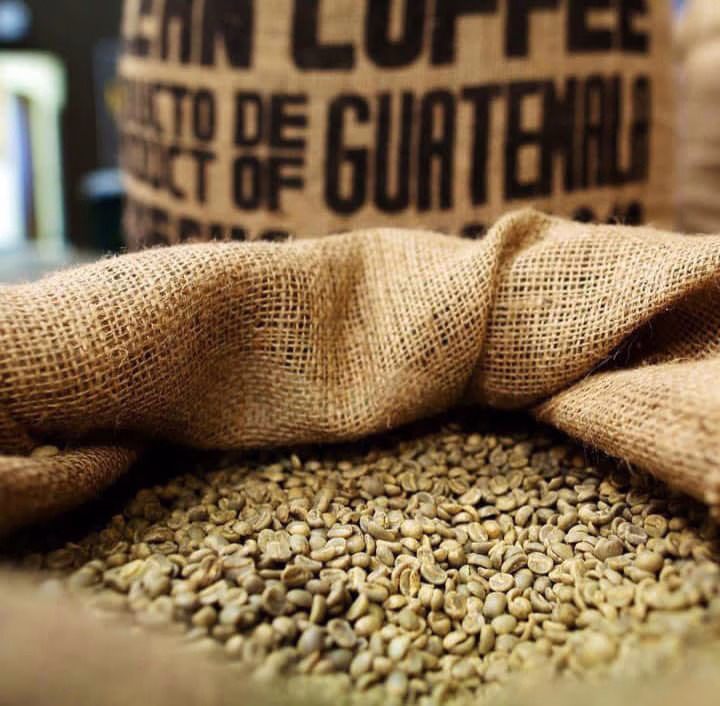 راهنمای جامع آشنایی با انواع دانه سبز قهوه